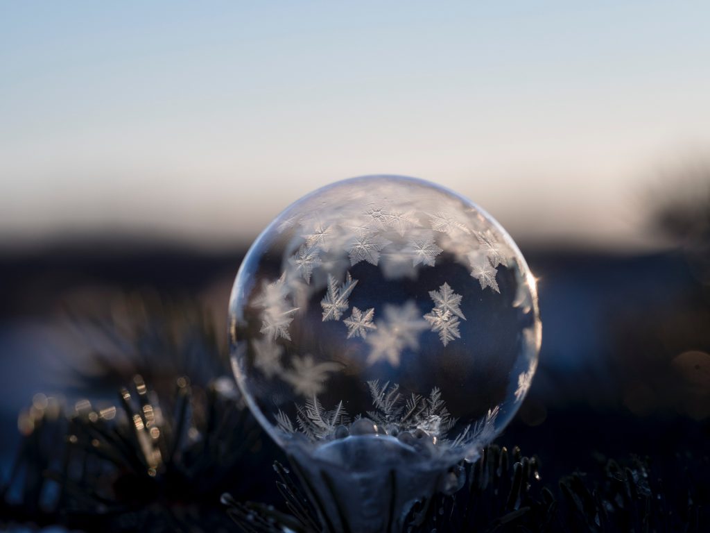 A clear glass globe with frozen stars inside sits on the branch of a tree
